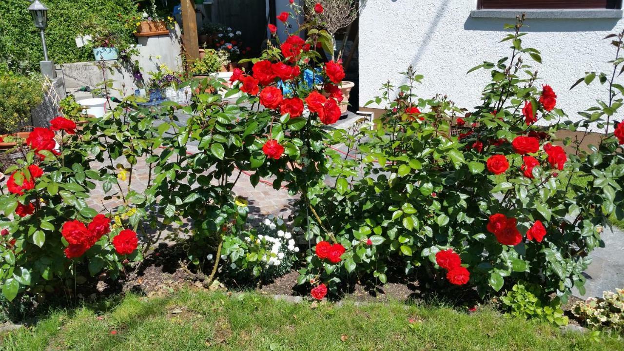 Teningen Ferienwohnung Kaiserstuhlblick מראה חיצוני תמונה