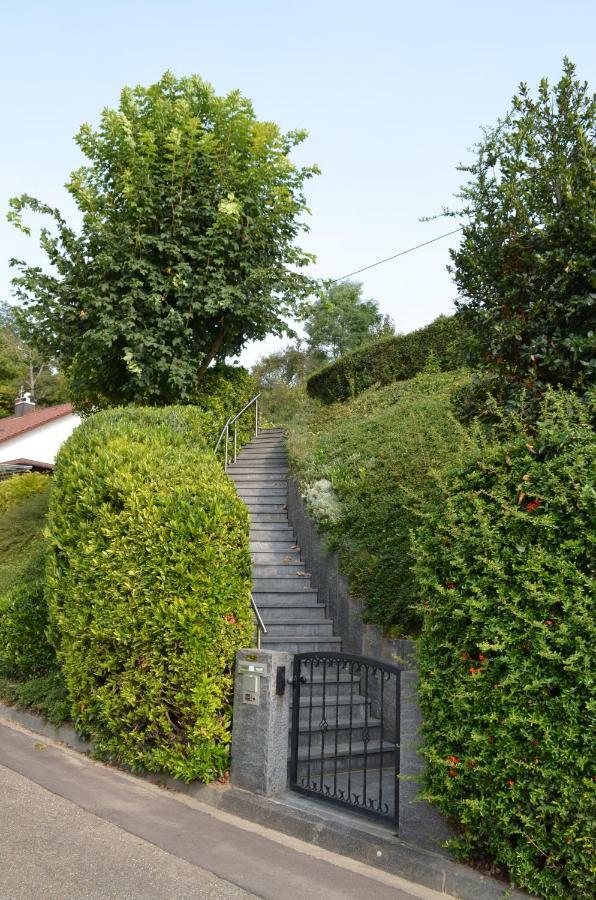 Teningen Ferienwohnung Kaiserstuhlblick מראה חיצוני תמונה